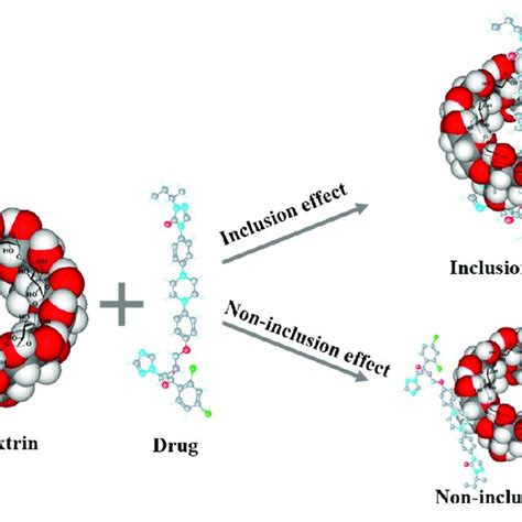 Illustration Of Inclusion Complexes And Non Inclusion Of Cyclodextrins Download Scientific