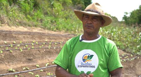 Suape Entrega Mais Quintais Ecoprodutivos A Fam Lias Em