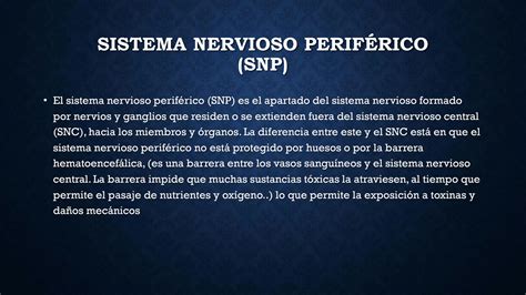 Solution Sistema Nervioso Perif Rico Studypool