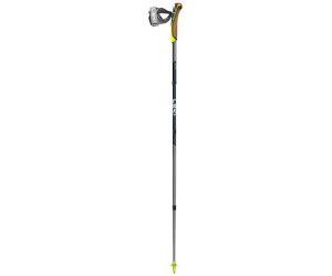 Leki Traveller FX One Carbon Nordic Walking Stöcke silver gray