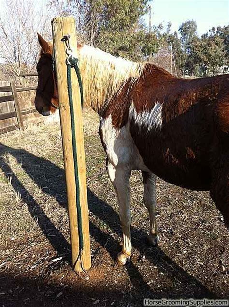 Building Hitching Post Proper Height Horses Horse Barns Hitching Rail