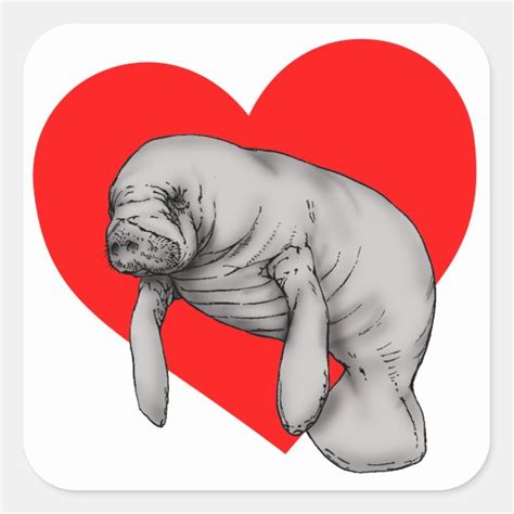 Manatee Stickers & Labels | Zazzle UK