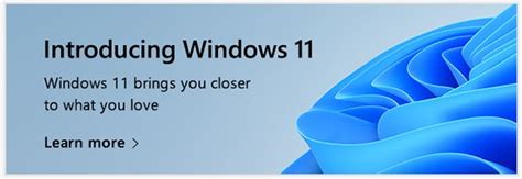 Introducing Microsoft Windows 11 Pc Expert Services