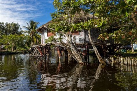 Natural View of the Tour Laguna Del Tesoro in Guama, Matanza, Cuba ...