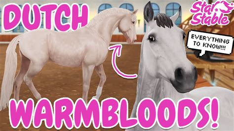 Everything To Know About Gen Dutch Warmbloods In Star Stable