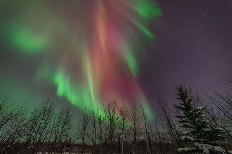 Dónde y Cuándo Ver Auroras Boreales en Alaska