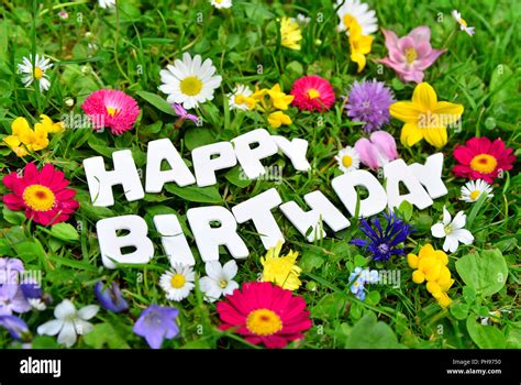 Happy Birthday Nature Flowers