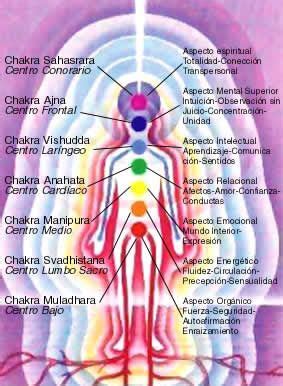 Reiki A Distancia SIGNIFICADO DE CADA UNO DE LOS CHAKRAS Chakras