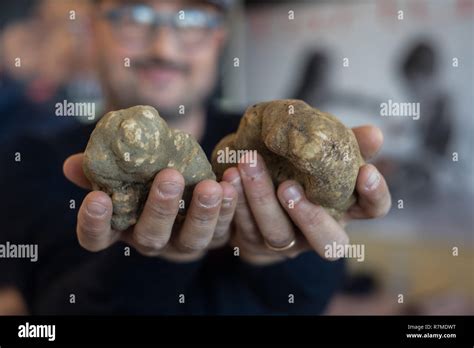 Tuber magnatum pico hi-res stock photography and images - Alamy