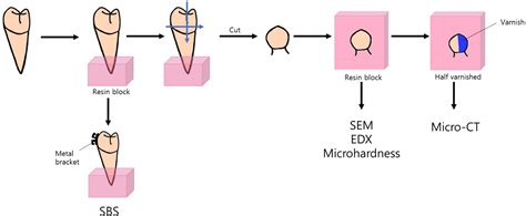 Figure From The Effect Of Biomimetic Remineralization Of Calcium