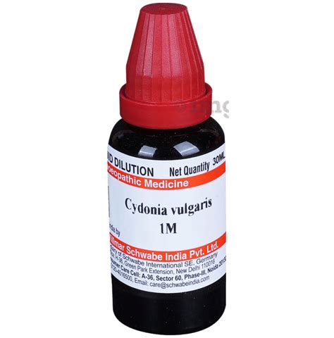 Dr Willmar Schwabe India Cydonia Vulgaris Dilution 1m Buy Bottle Of 300 Ml Dilution At 𝗯𝗲𝘀𝘁