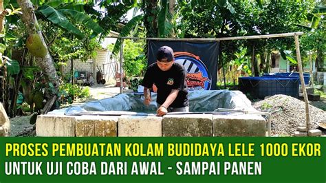 Proses Pembuatan Kolam Uji Coba Budidaya Lele 1000 Ekor Dengan Pakan