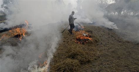 Farmers Near Delhi Quit Stubble Burning As Hazardous Smog Continues To