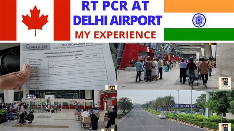 My Rt Pcr Test Experience At Delhi Airport Delhi Airport Rt Pcr Test