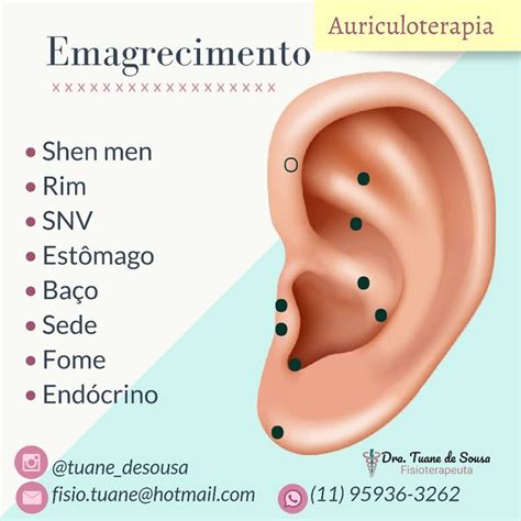 Pontos De Auriculoterapia Para Ajudar No Processo De Emagrecimento