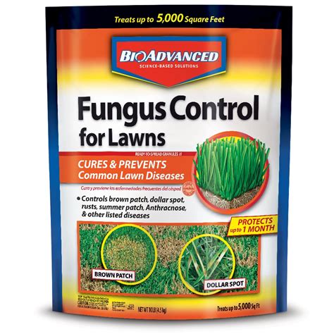 Fungicide For Lawn Outlet