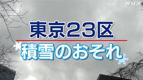 8e Et la neige à Tokyo La circulation sera affectée Des chutes de