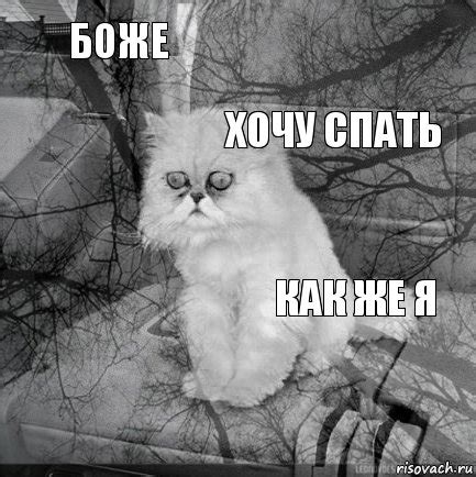 Боже Как же я Хочу спать , Комикс кот безысходность - Рисовач .Ру