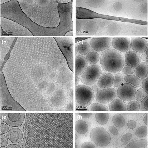 Cryo Transmission Electron Microscopy Images Cryo Tem Of Mad015 Left Download Scientific