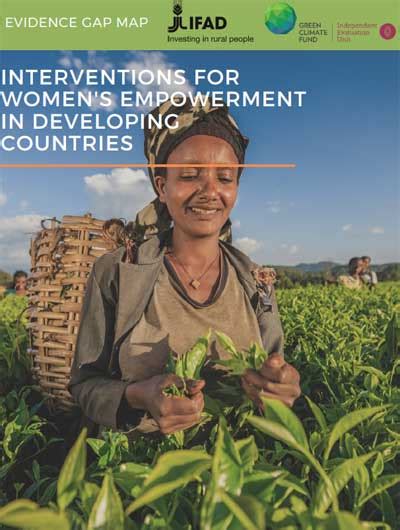 Interventions for Women's Empowerment in Developing Countries: An ...