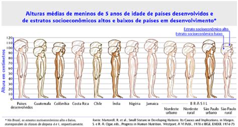 Fatores Que Influenciam No Crescimento Blog Do Portal Educa O