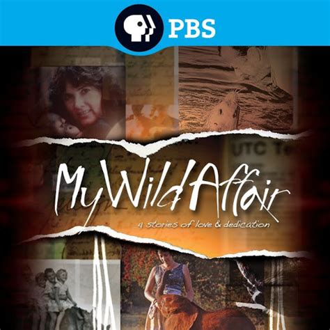 My Wild Affair - TV on Google Play