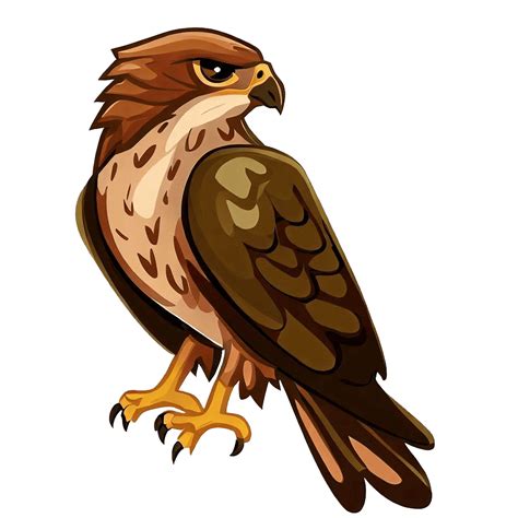 Hawk Clipart Transparent Picture ClipartLib