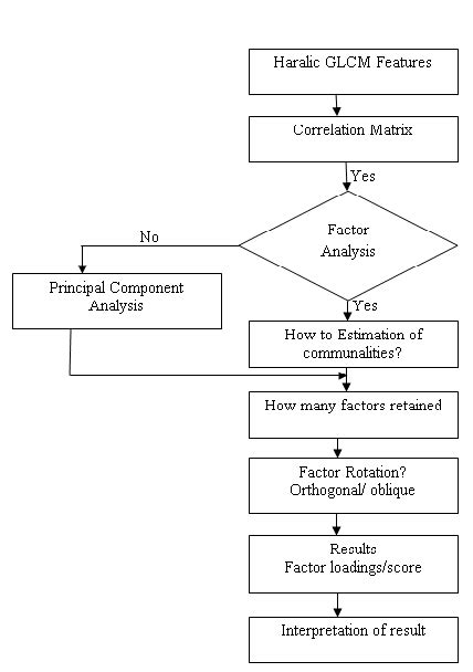 Flow Chart Of Steps In Exploratory Factor Analysis The Above Download Scientific Diagram