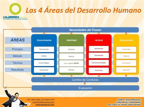 Ppt Las Reas Del Desarrollo Humano Powerpoint Presentation Free