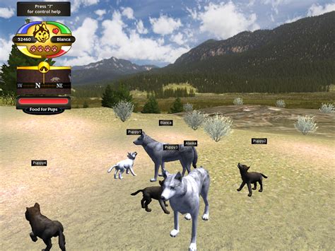 Image - Defaultcoatpuppies glitch.png | WolfQuest Wiki | FANDOM powered ...