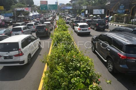 Kemacetan Kendaraan Di Jalur Wisata Puncak Bogor Antara Foto