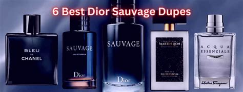 Dior Sauvage Dupes 6 Best Perfumes Similar To Dior Sauvage