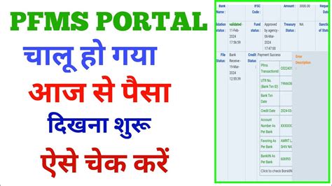 PFMS PORTAL START PFMS PORTAL PAYMENT KAISE CHECK KARE PFMS PORTAL