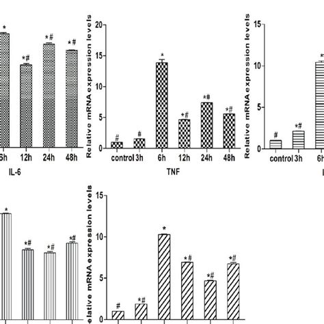 The Relative Mrna Expression Levels Of Inflammatory Cytokines Cells