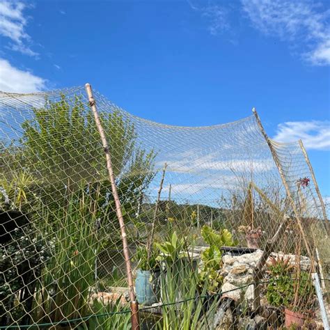 Foto Meteo Pasquetta In Sicilia 3B Meteo