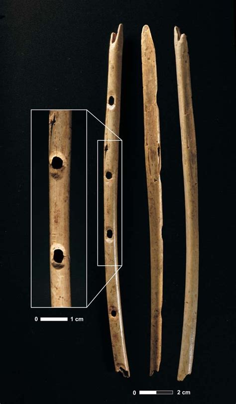 Mammoth Ivory Ice Age Flute Years Ago Second Worlds Oldest