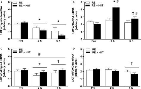 RNA Expression Of A Myostatin B MuRF 1 C Atrogin 1 And D