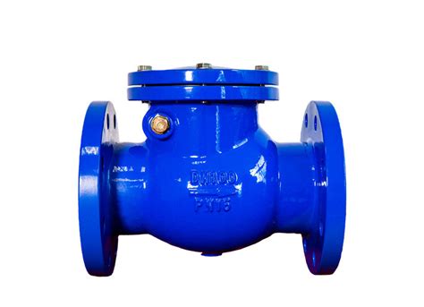 Din F Ansi Ductile Iron Swing Check Valve Inch