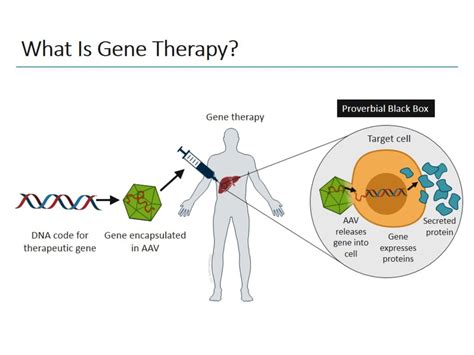 Gene Therapy Hemophilia