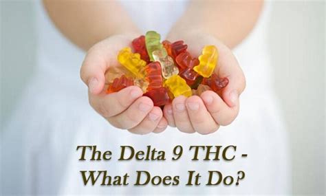 What are the Effects of Delta 9 THC? - Music Raiser