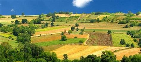 Jagodina Paori Oslobo Eni Poreza Agro Vesti By Agronews Rs