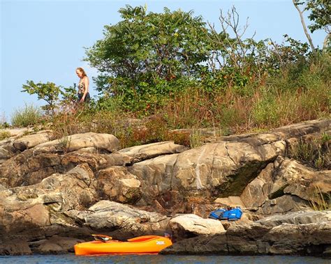 Cat Briar Island On Long Island Sound New York City A Photo On