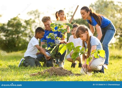 Kids Planting Trees With Volunteers Stock Photo Image Of Friends