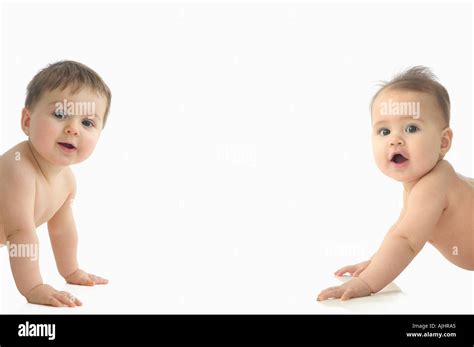 babies   res stock photography  images alamy