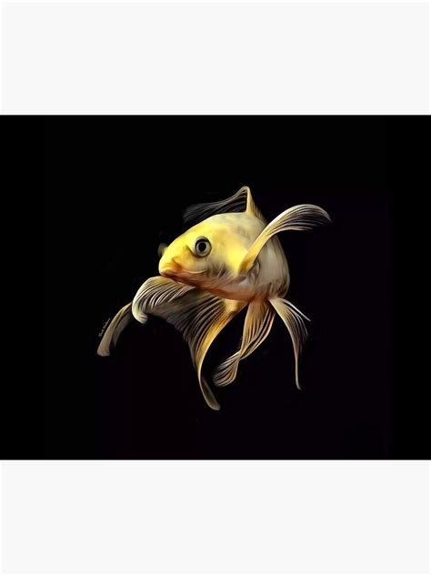 A Yellow Butterfly Koi Fish Portrait Poster For Sale By Digital