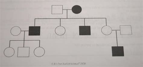 Determine The Inheritance Pattern Of Each Of The Following Pedigrees