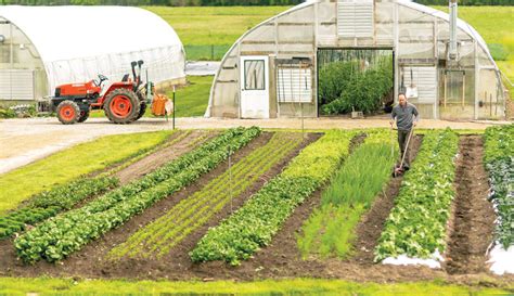 Clay_Bottom_Farm_row_hand_till_greenhouses - Hobby Farms