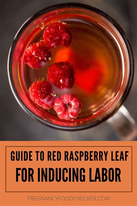 Wondering What You Need To Know About Red Raspberry Leaf Tea During