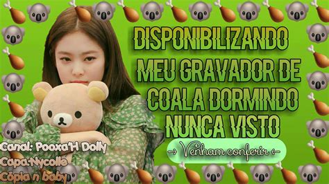 Disponibilizando Meu Gravador De Coala Dormindo Nunca Visto Feito Por