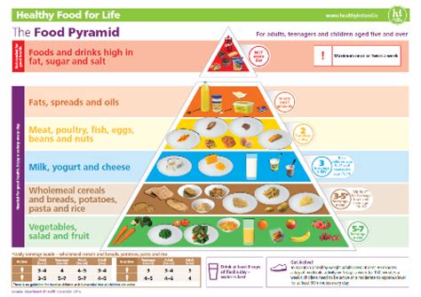 Food-Based Dietary Guidelines in Europe: Source Documents | Knowledge ...